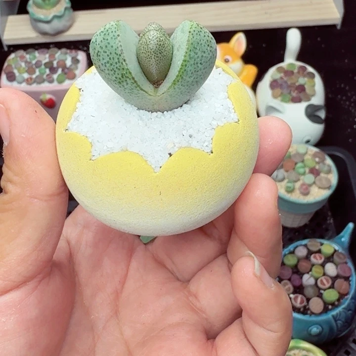 8024零下地区记得拍保温箱