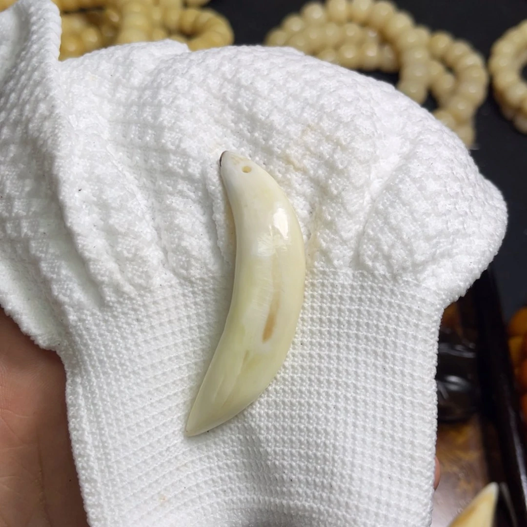 骆驼牙手串/手链骆驼牙