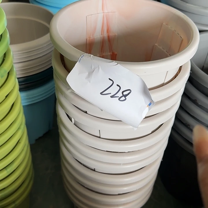 编号228串色瑕疵6个无托