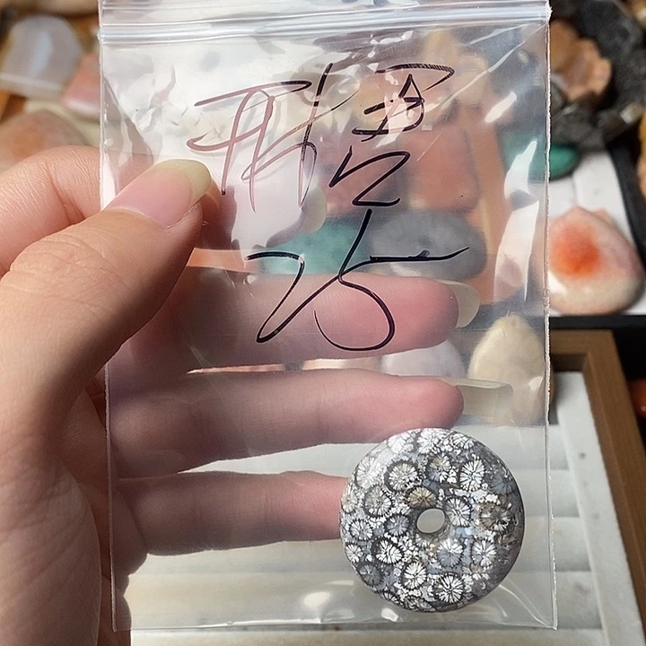 开***悟硅化玉未镶嵌颈饰