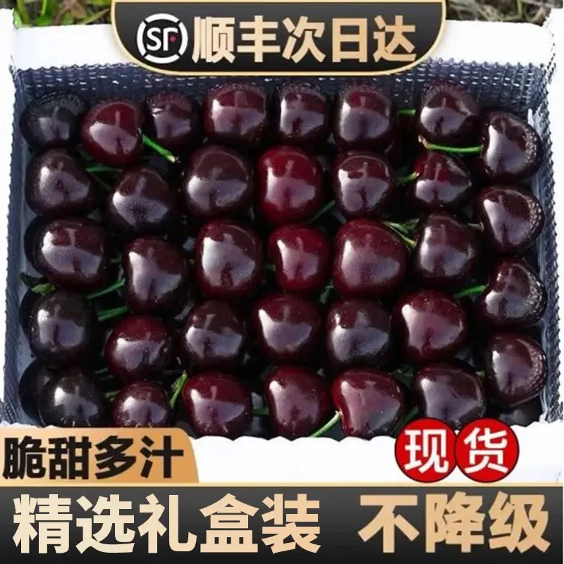 特大号【5斤J-4J】进口车厘子甄选品质水果顺丰空运 新鲜孕妇水果