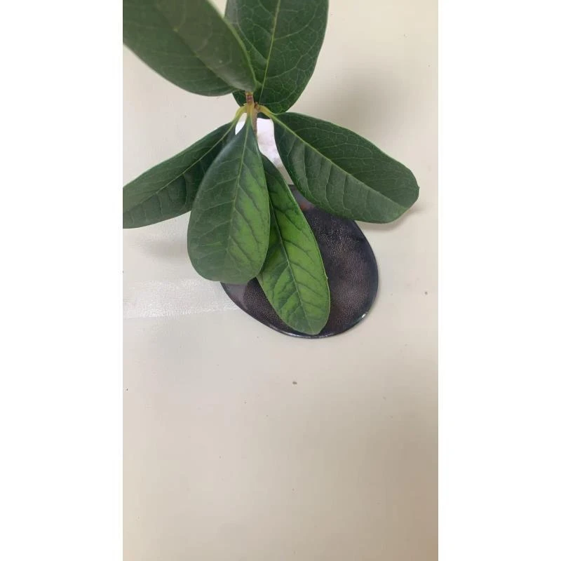 非金属木质手链 F07木制文玩手把件