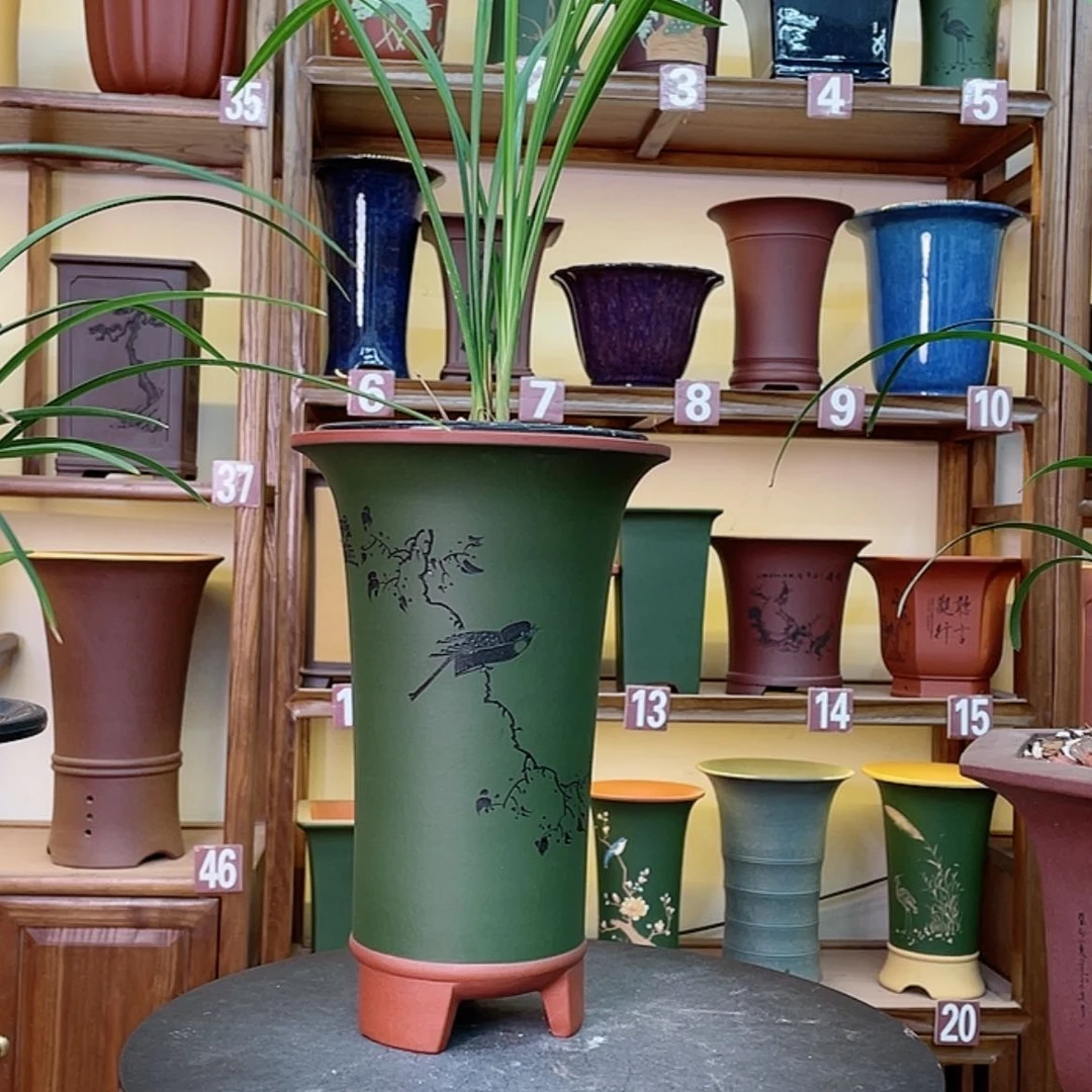 【闪购商品】紫砂花盆兰花455585555666688885