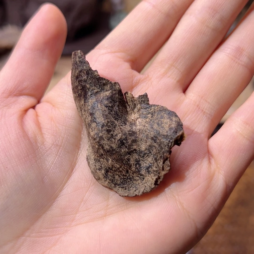 【闪购商品】香榧木海南木料尖峰岭沉水包头2克