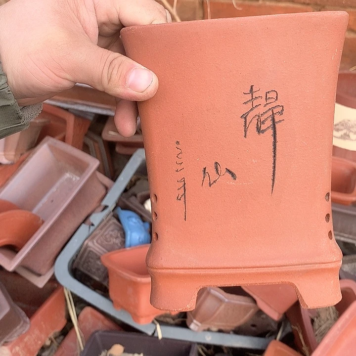 紫砂哈哈真的超级可爱哈哈哈哈哈