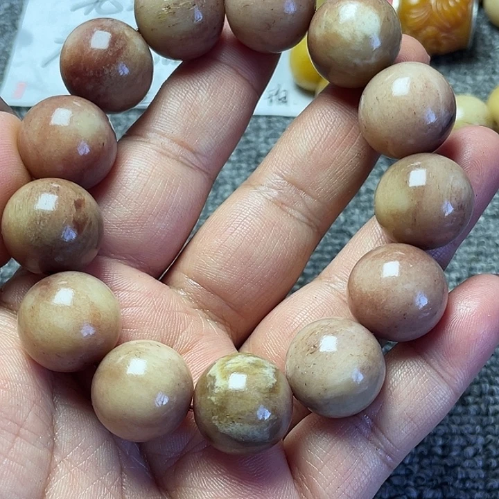 大果紫檀（缅甸花梨）