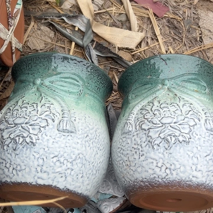 系列啦花盆辣椒辣花盆