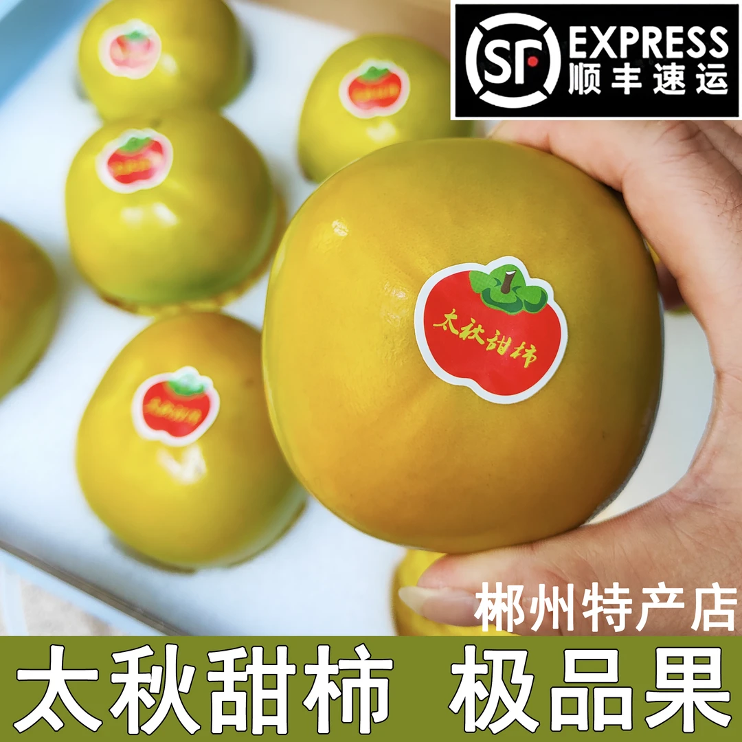 太秋甜柿子广西桂林恭城顺丰包邮日本大秋甜脆柿大果鲜果宁波慈溪