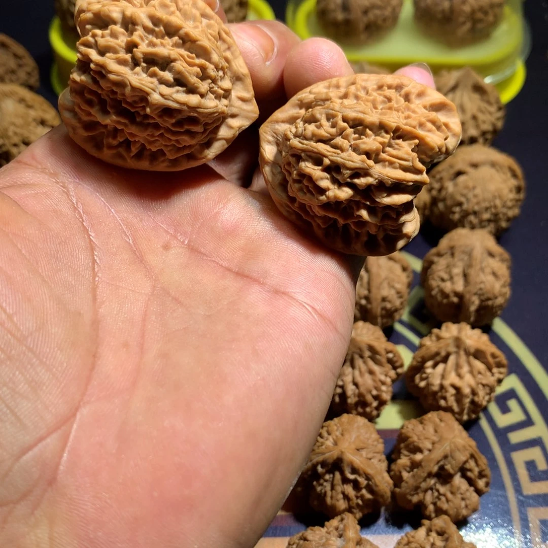 文玩核桃吊坠珊瑚纹41