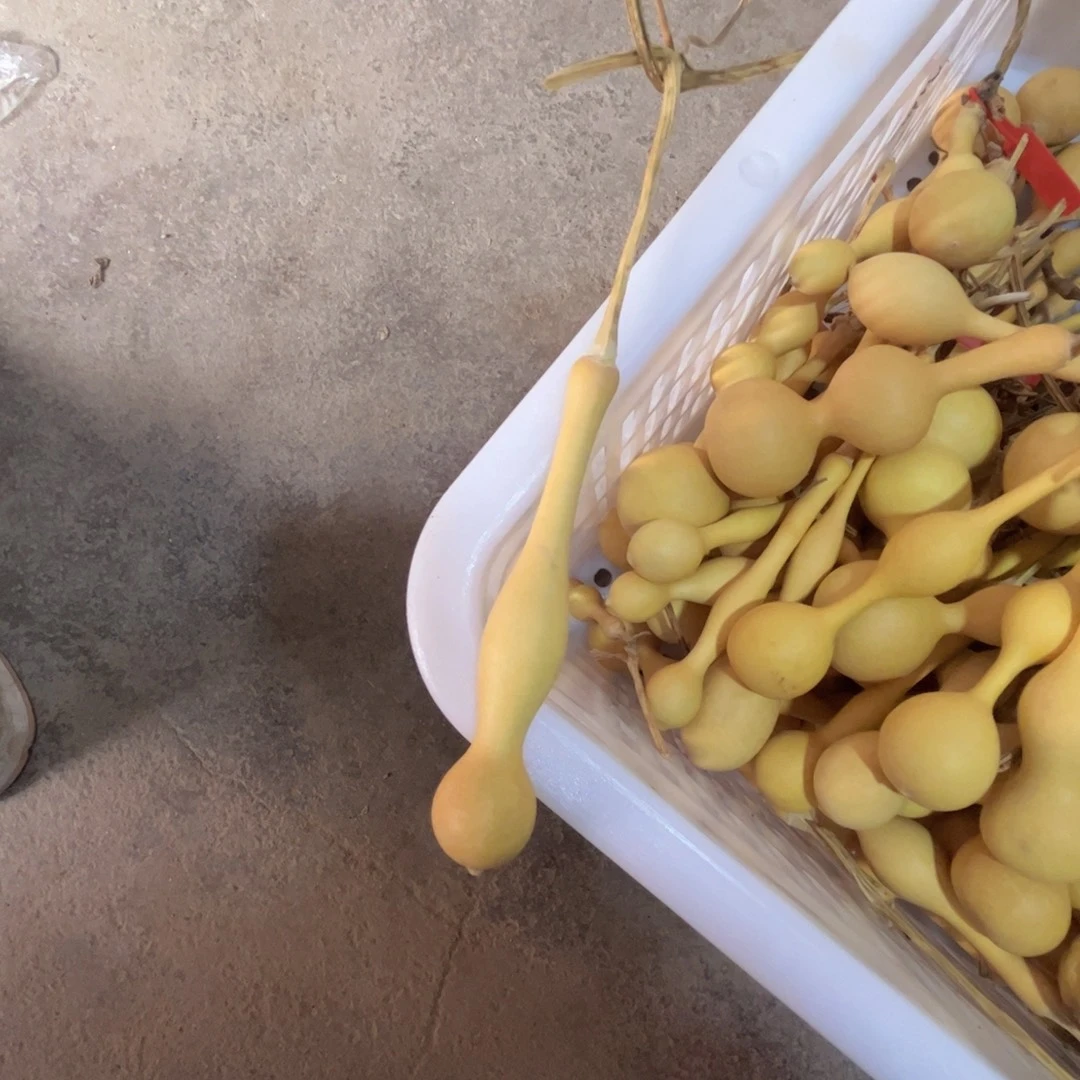 .***者文玩葫芦吊坠项链