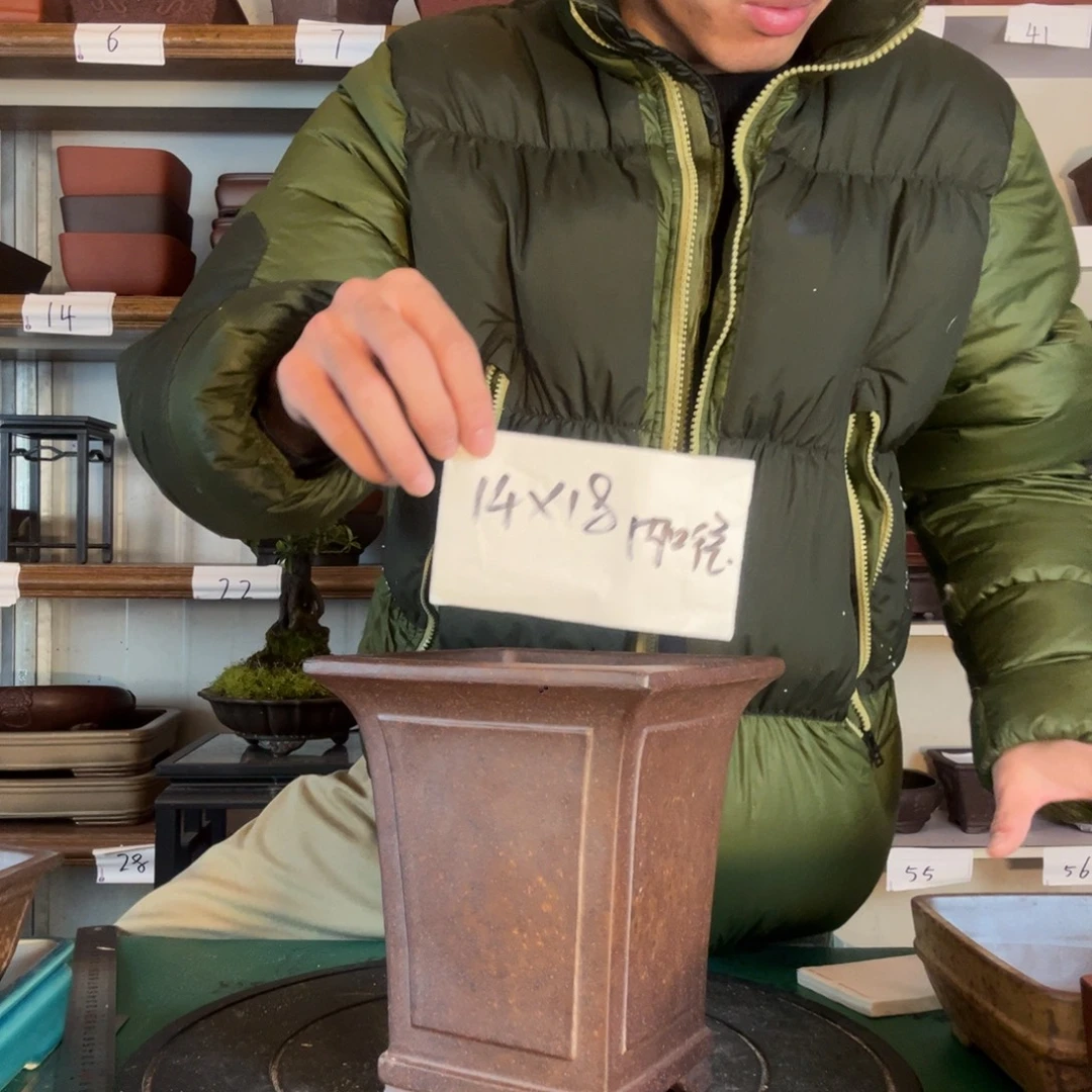 规范人的层次感还不吃饭