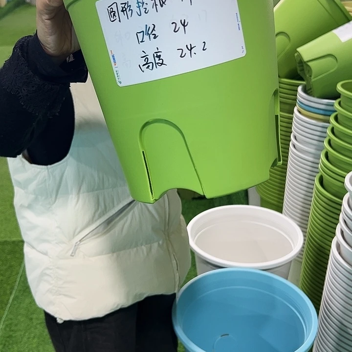 正品圆控口24高24果绿无托8只