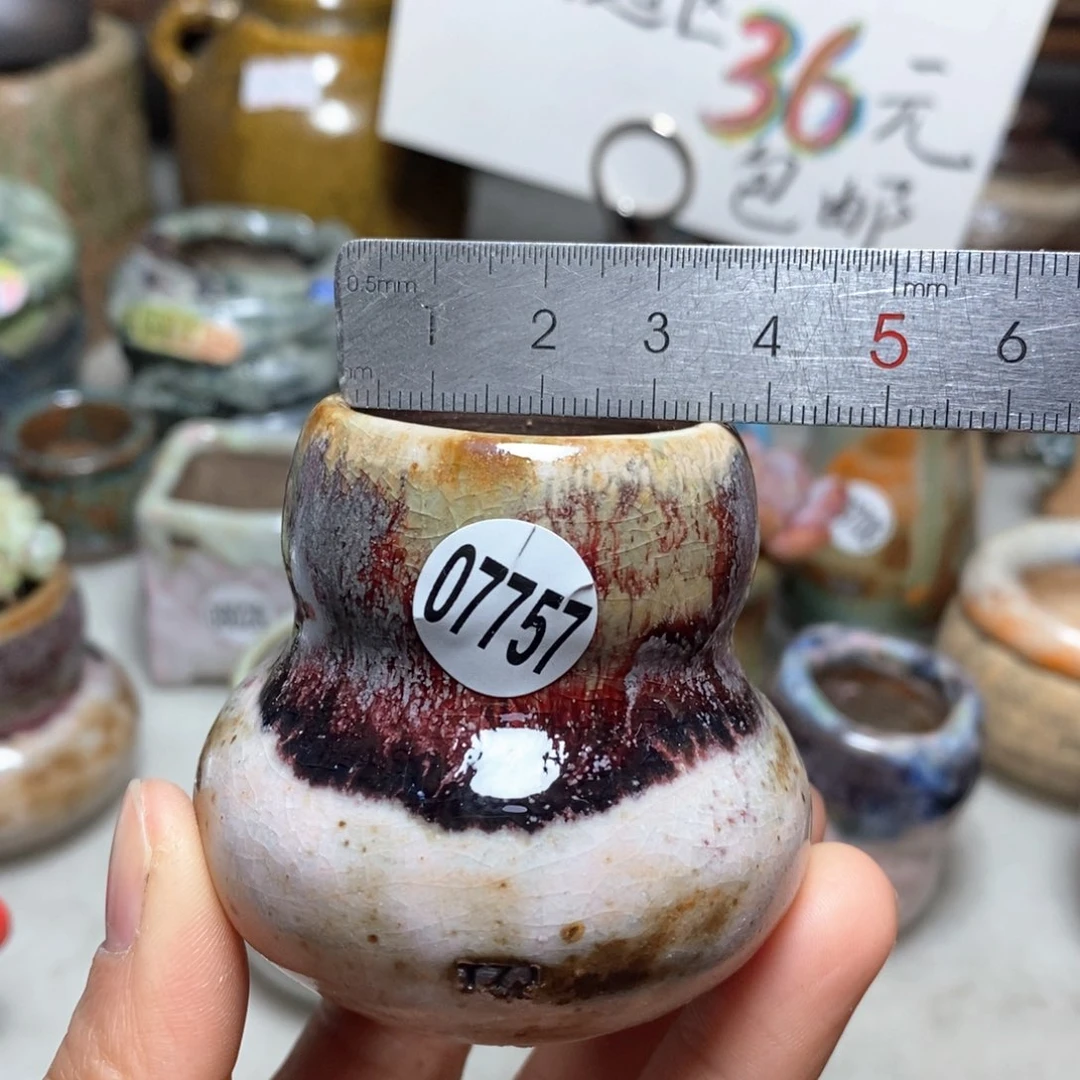 花盆拍5送一个小礼物