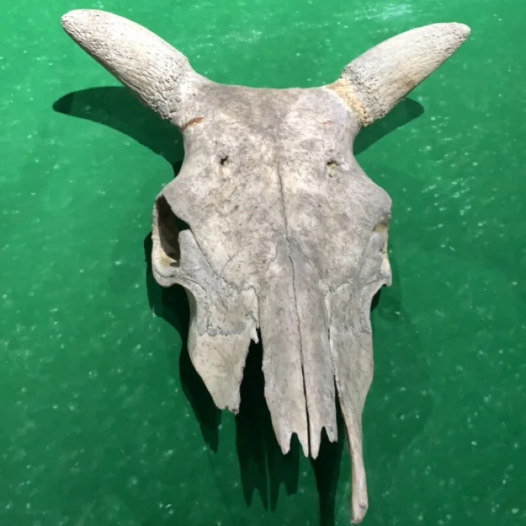 牛头小摆件装饰品
