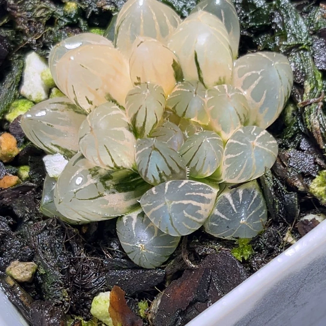 恭喜发财大吉大利0902