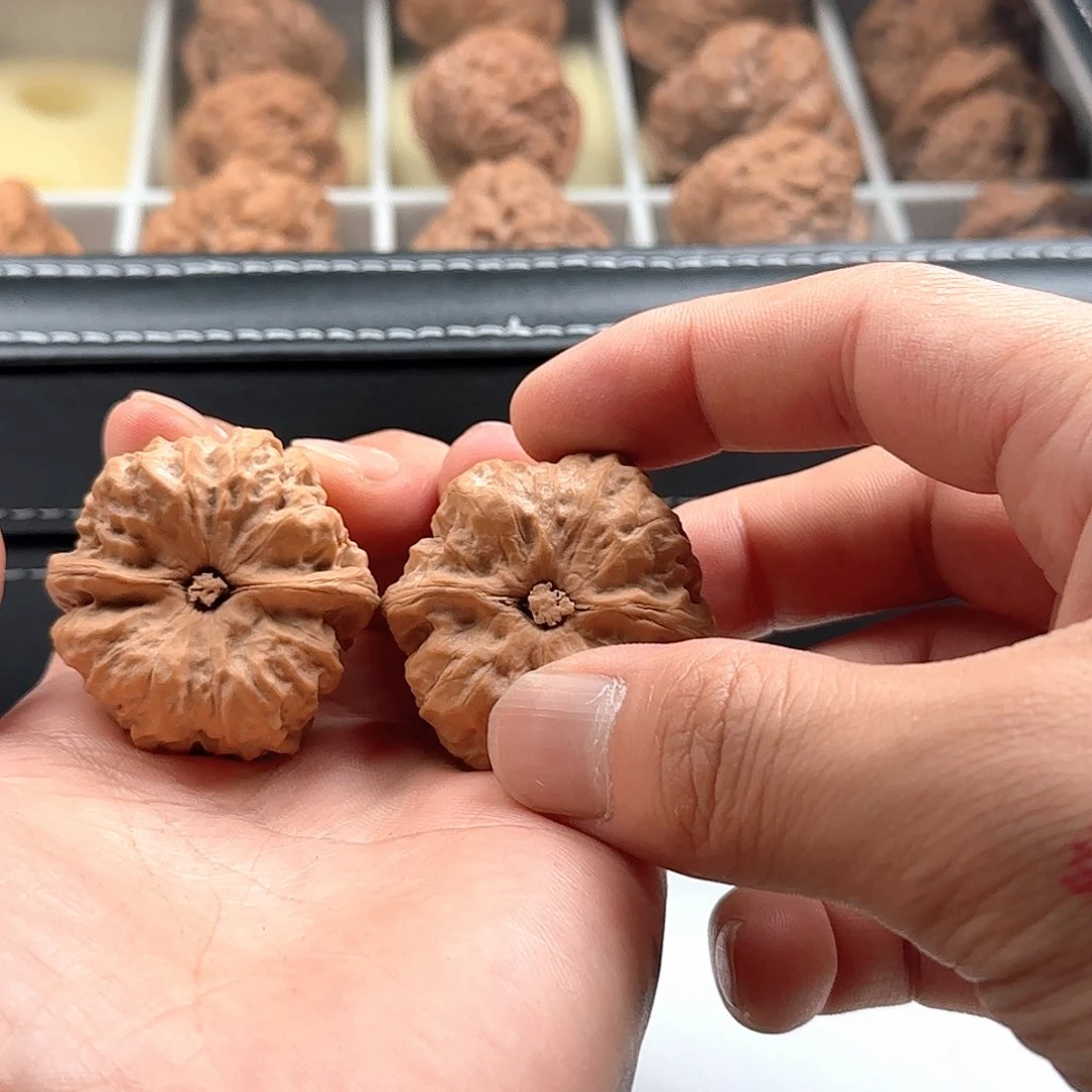 延庆蛤蟆山地果子