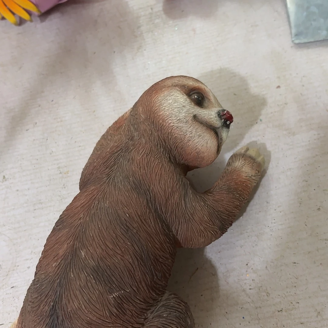 核桃木/黑胡桃（胡桃木）