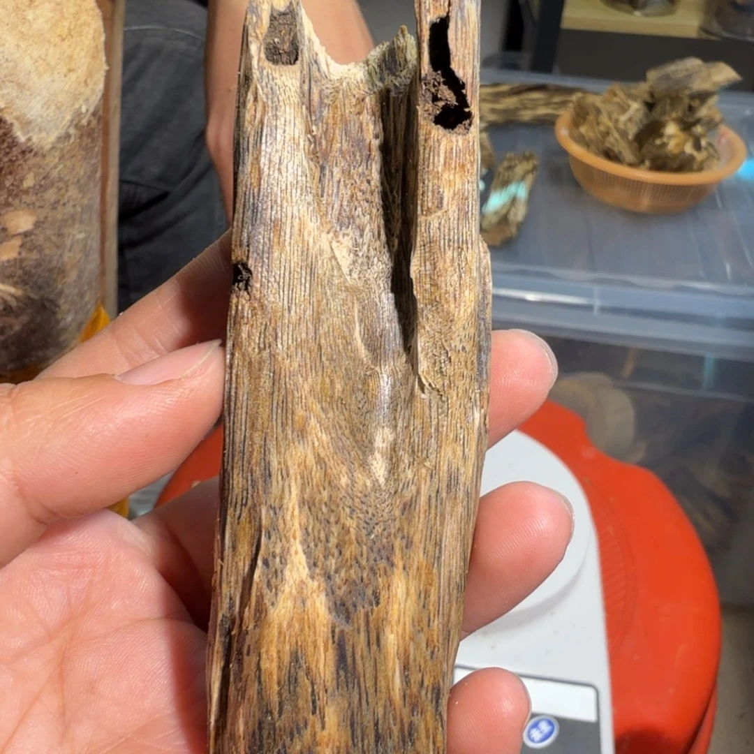 白奇沉香块料沉香