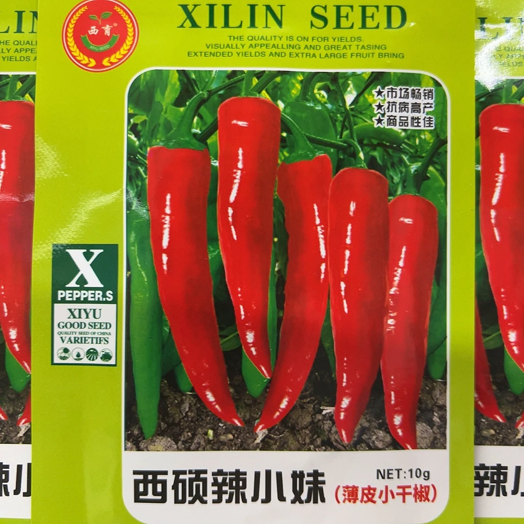 西硕辣小妹小笨辣椒种子