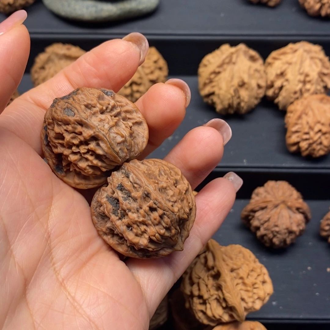 秦岭南北缘和秦岭北麓部分