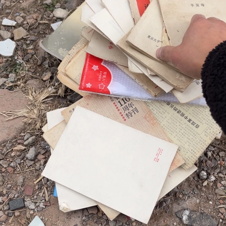 小***6杂色豆（科檀/科特迪瓦檀木）