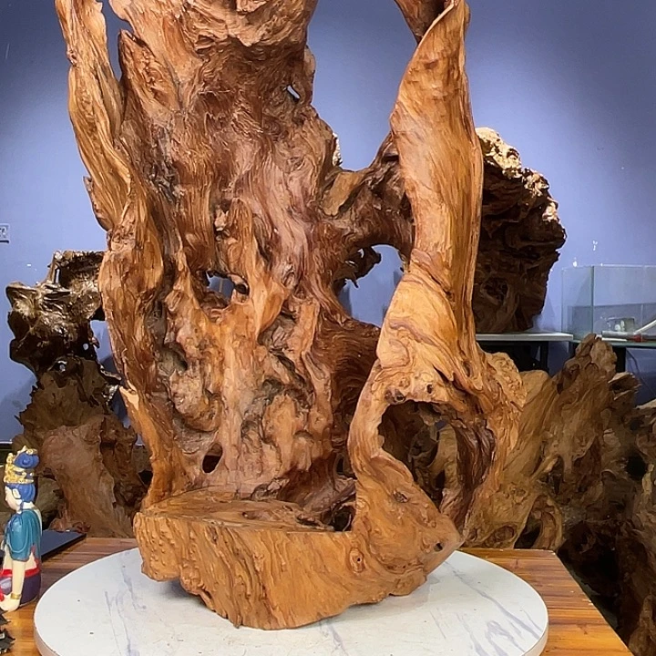 明***儿香榧木1234567788999