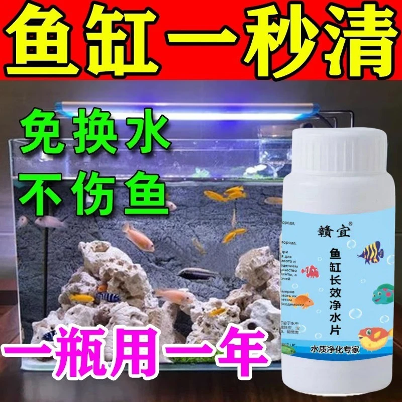 缸长效净清澈澄臭腥净化质族箱缸池清批