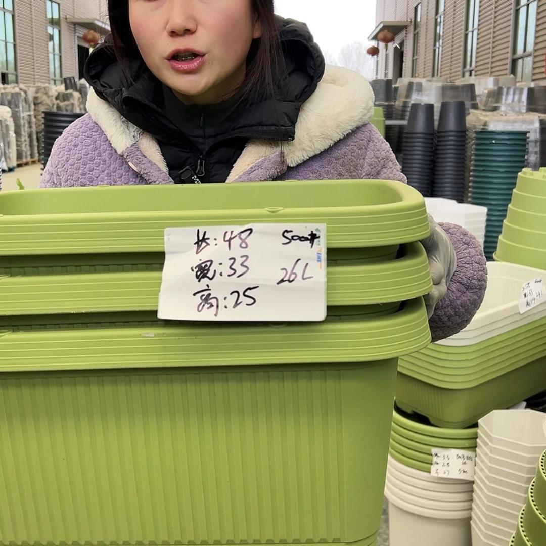 菜盆500#果绿3个无托