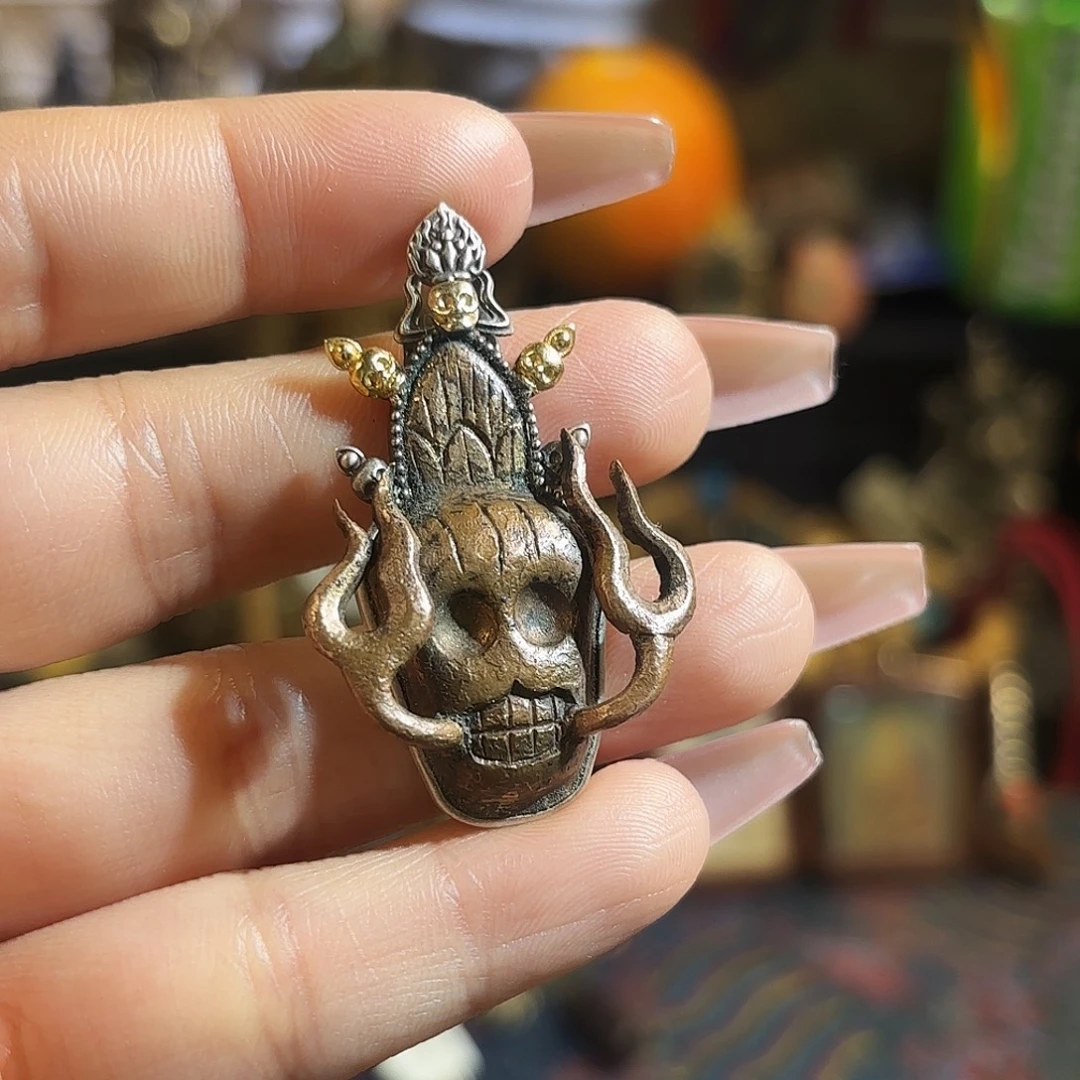 好好好好好好好好好看