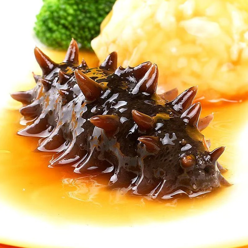 【虚迷山精选】鲜食海参 高蛋白 解冻即食 5-6头一斤