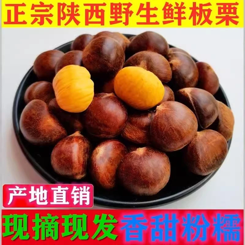 板栗新鲜现摘现发头茬好剥皮粉面香糯精选大果老品种