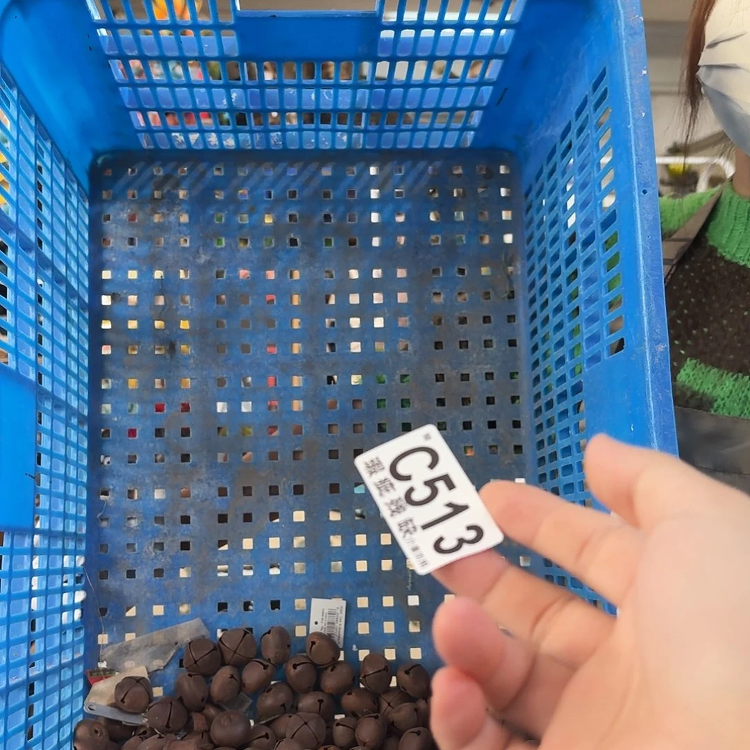 R***y核桃木/黑胡桃（胡桃木）