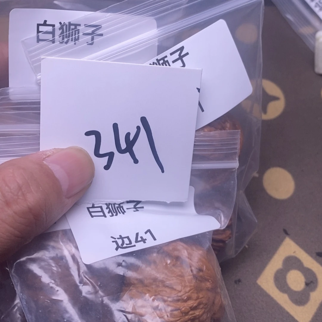 核桃白狮子尺寸41