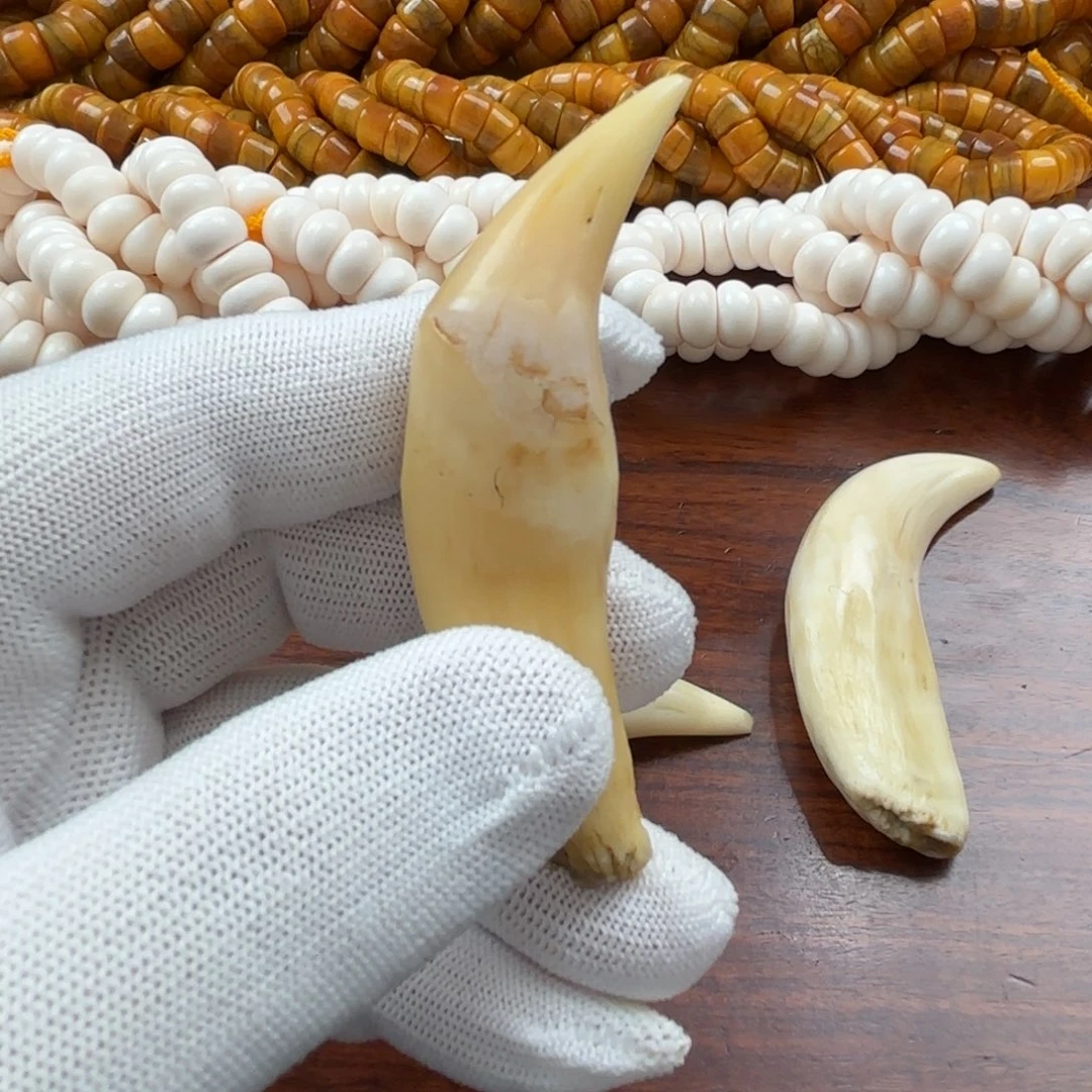 骆驼牙手串/手链骆驼牙