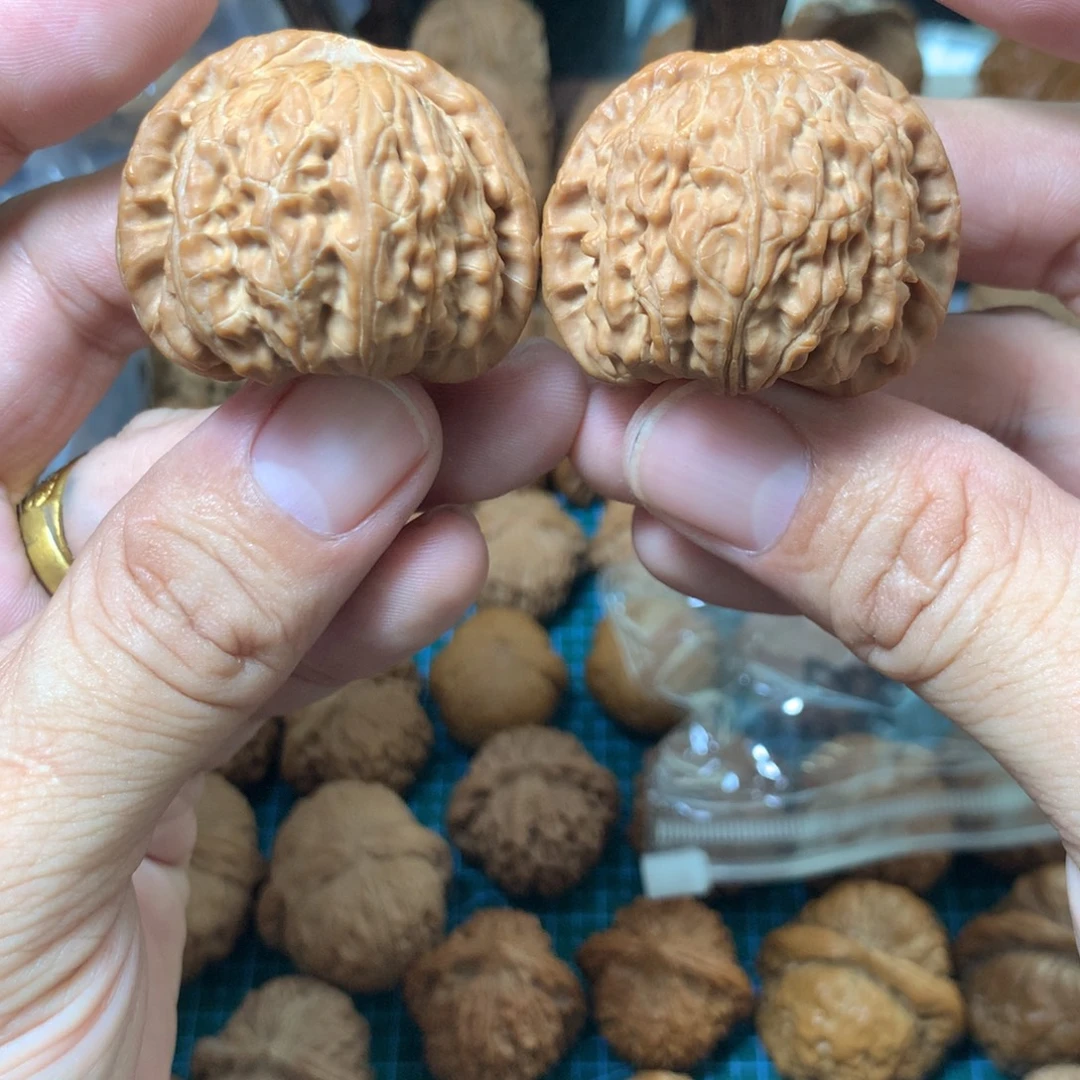 把件文玩核桃有修尖白狮子