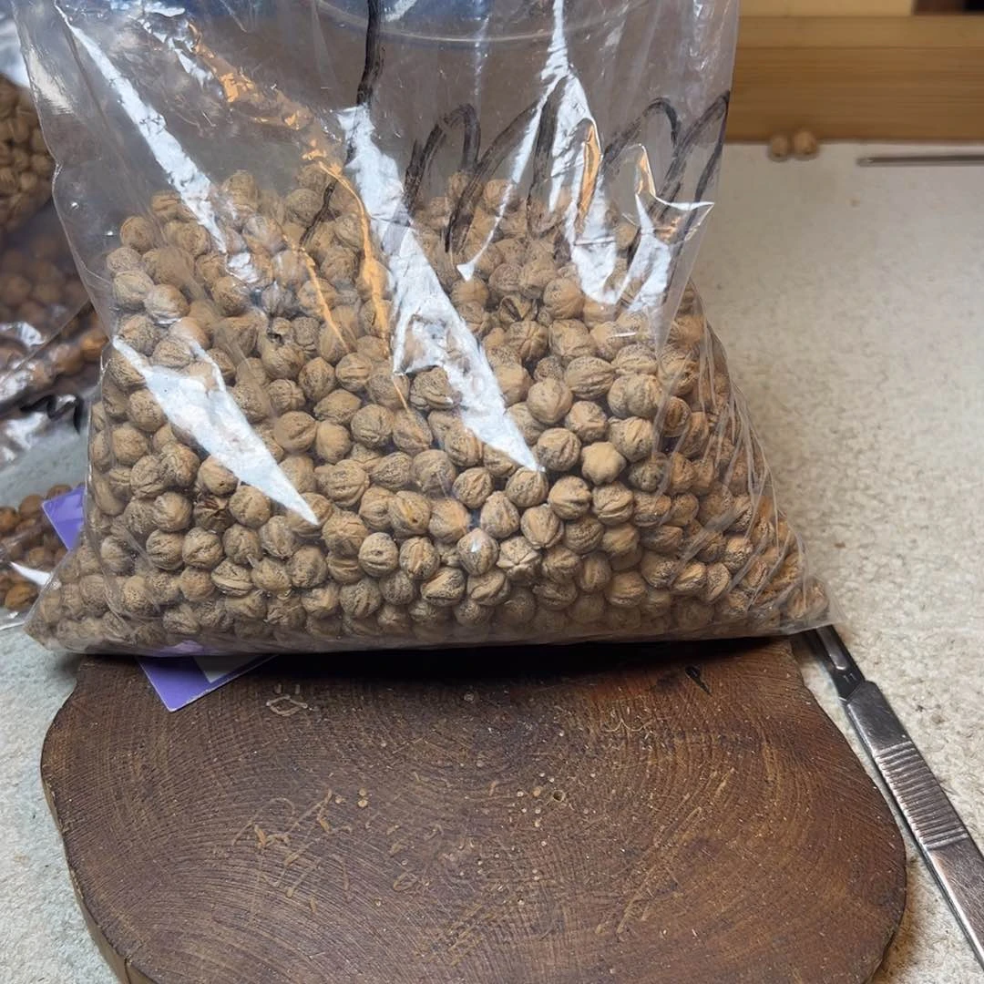 柏香籽/百香籽吊坠毛*