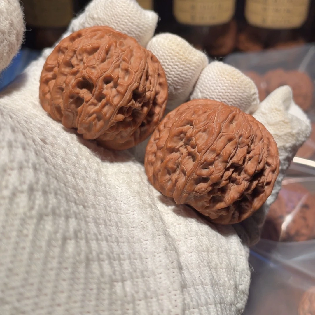 核桃41山地正磨mmmm