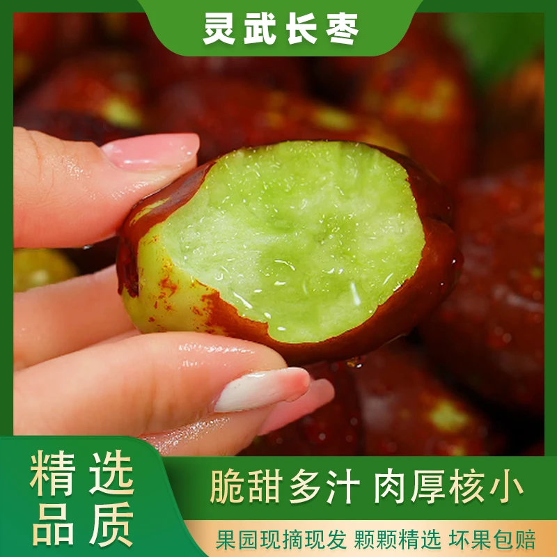 【顺丰】灵武长枣新鲜应季甜枣脆枣香甜爽口果园直发精选2斤起
