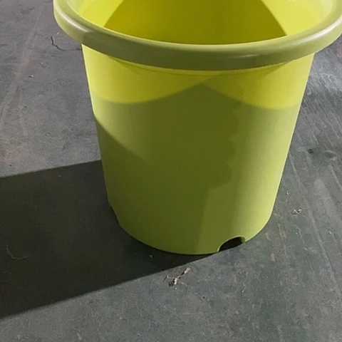 树脂四季8号果绿无托5个特价