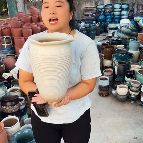 口20高31一个盆子。