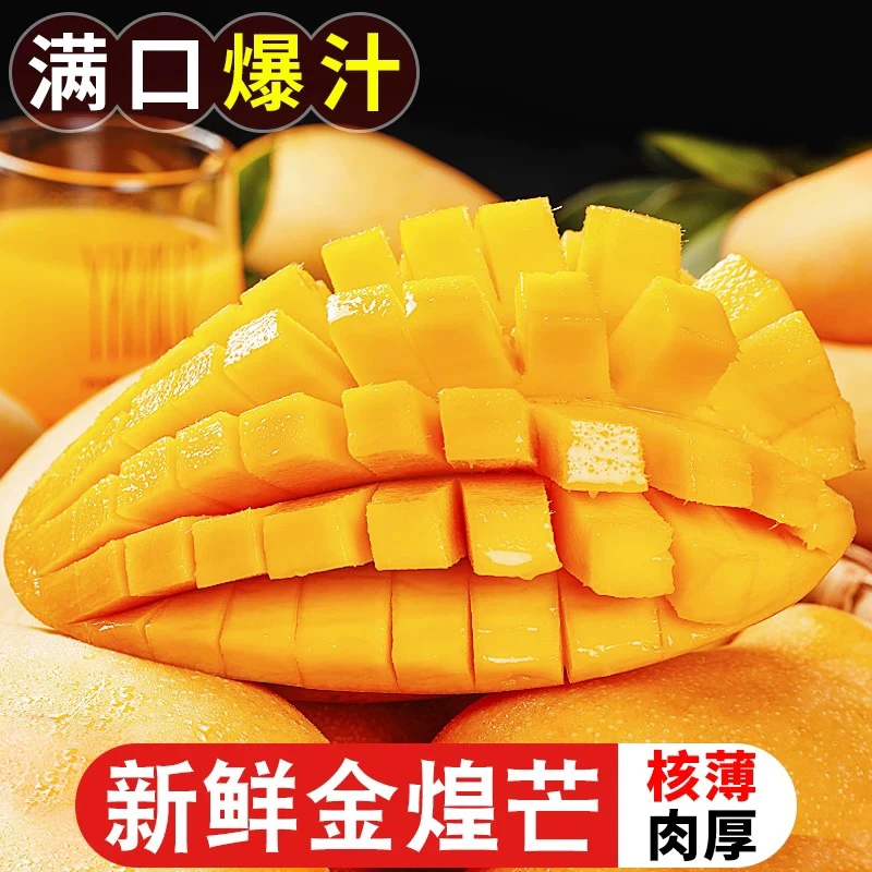 CZ【催熟食用】海南金煌芒单果150-200g新鲜应季水果香甜多汁3斤装