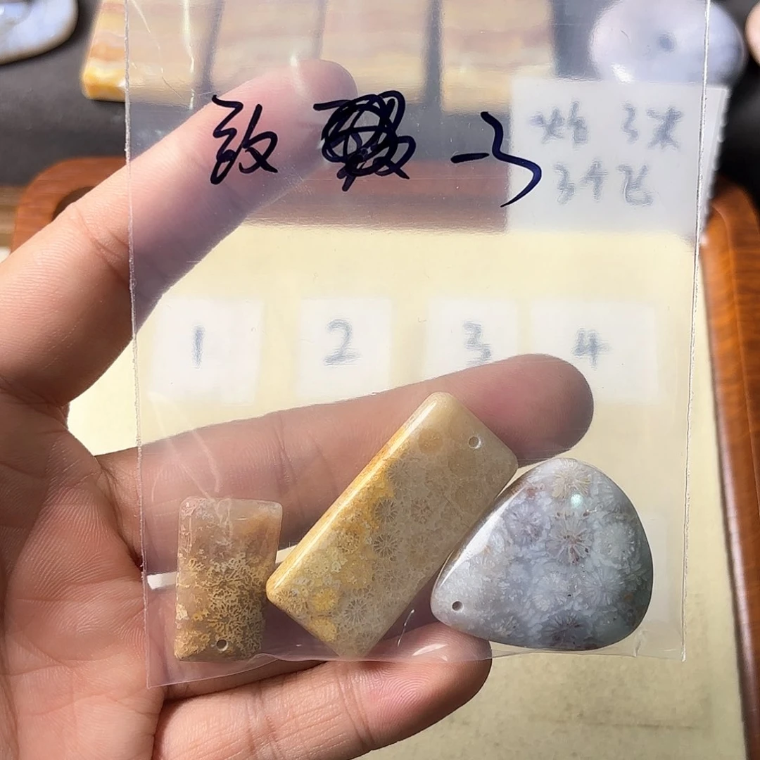 硅化玉颈饰未镶嵌致*树