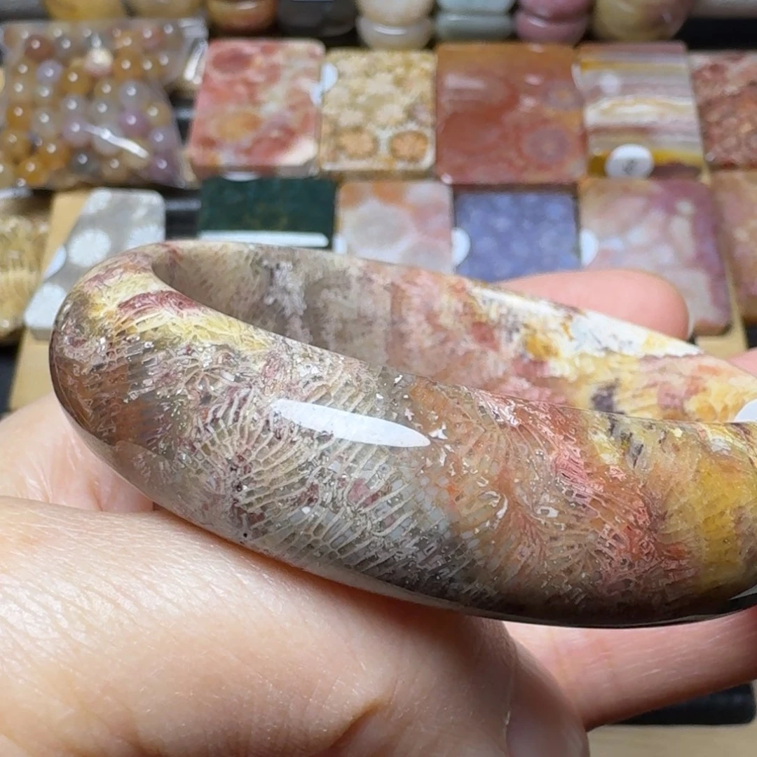 硅化玉54.8彩凤尾，盘盘未镶嵌