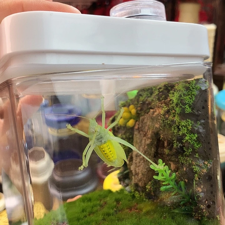 哈哈哈哈哈哈哈哈哈哈哈