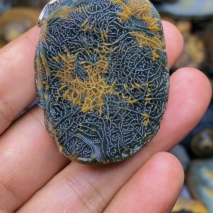 ༺****༻你的孩子已经于今天