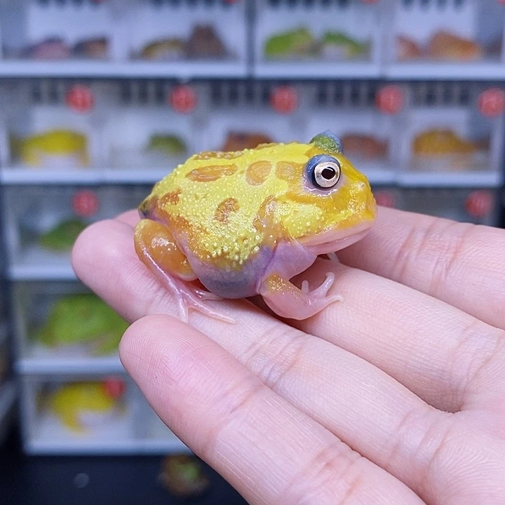 特价秒杀现货特价