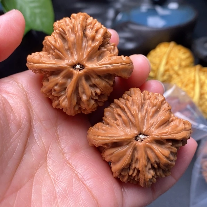 文玩核桃把件虎头王43尺