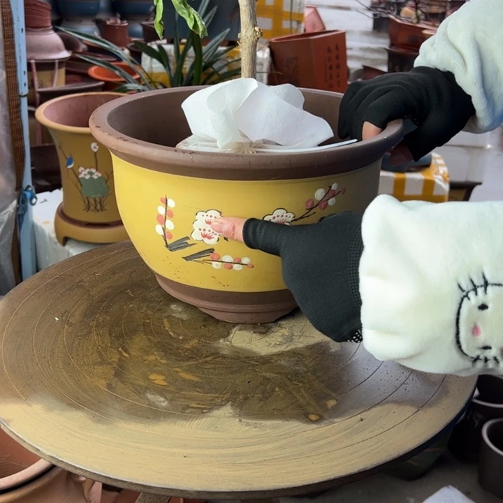 紫砂t005中花盆家婆