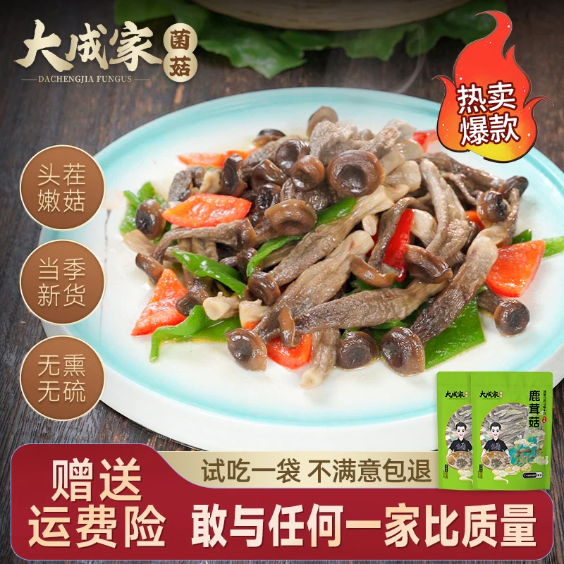 【新货上市】大成家正宗鹿茸菇精选干货鹿茸菌菇香菇煲汤营养美味