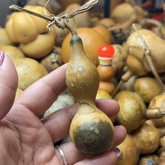 立*葫芦葫芦葫芦葫芦